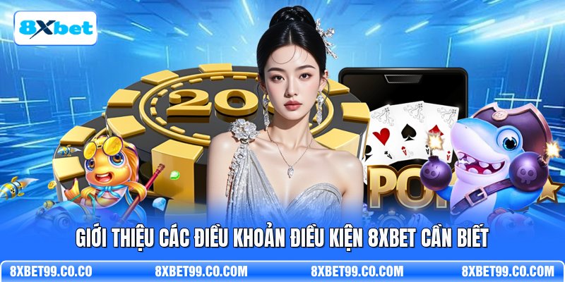 Giới thiệu các điều khoản điều kiện 8XBET cần biết