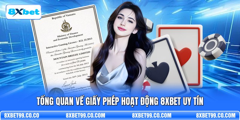 Tổng quan về giấy phép hoạt động 8XBET uy tín
