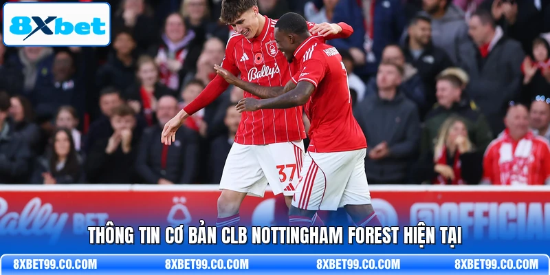 Thông tin cơ bản CLB Nottingham Forest hiện tại